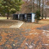 Review photo of Reelfoot Lake State Park Campgrounds by Shana D., November 25, 2019