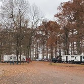 Review photo of Reelfoot Lake Campgrounds — Reelfoot Lake State Park by Shana D., November 25, 2019