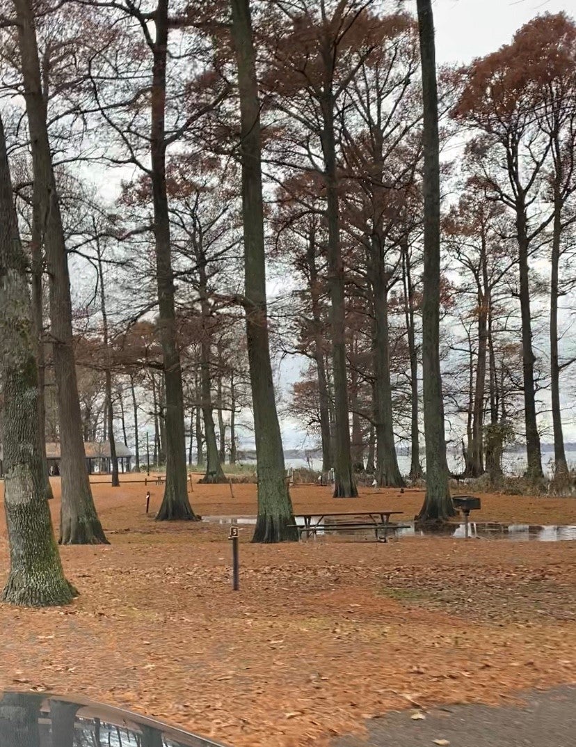 Camper submitted image from Airpark North Campground — Reelfoot Lake State Park - 3