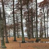 Review photo of Airpark North Campground — Reelfoot Lake State Park by Shana D., November 25, 2019