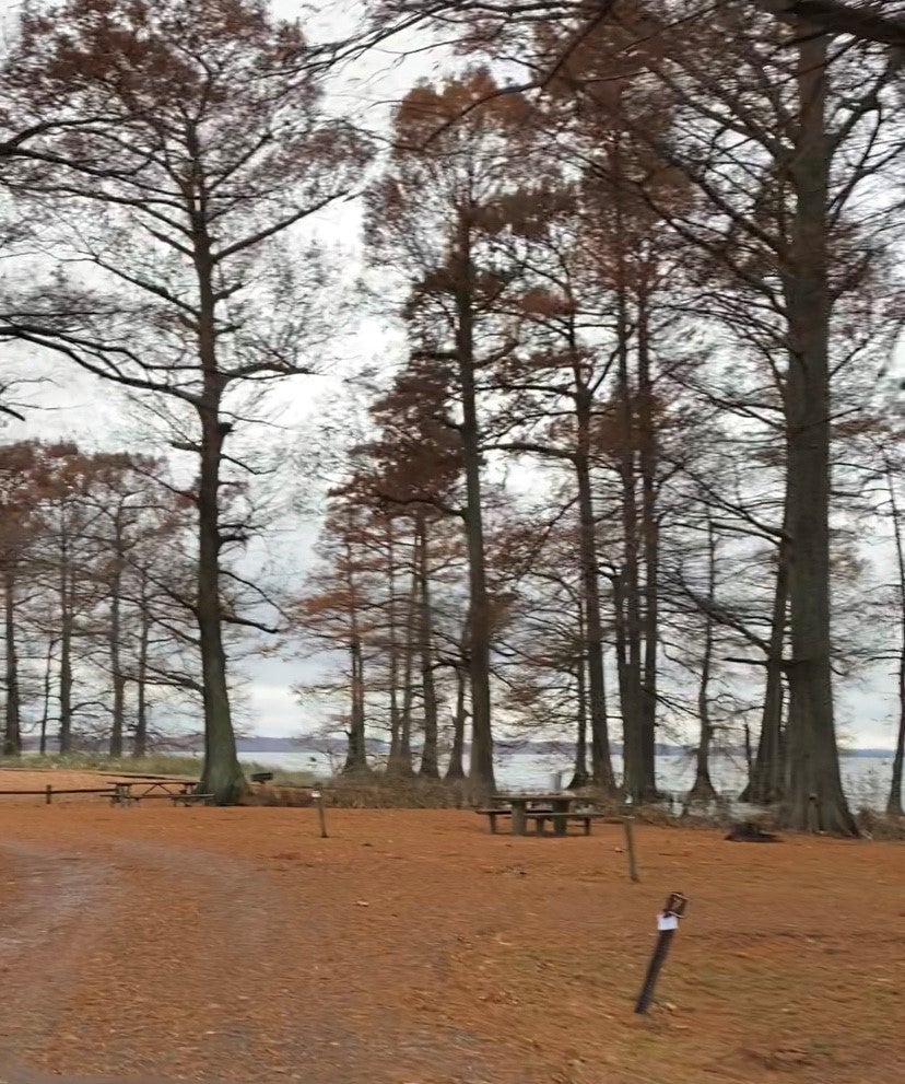 Camper submitted image from Airpark North Campground — Reelfoot Lake State Park - 2