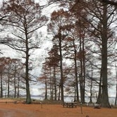 Review photo of Airpark North Campground — Reelfoot Lake State Park by Shana D., November 25, 2019