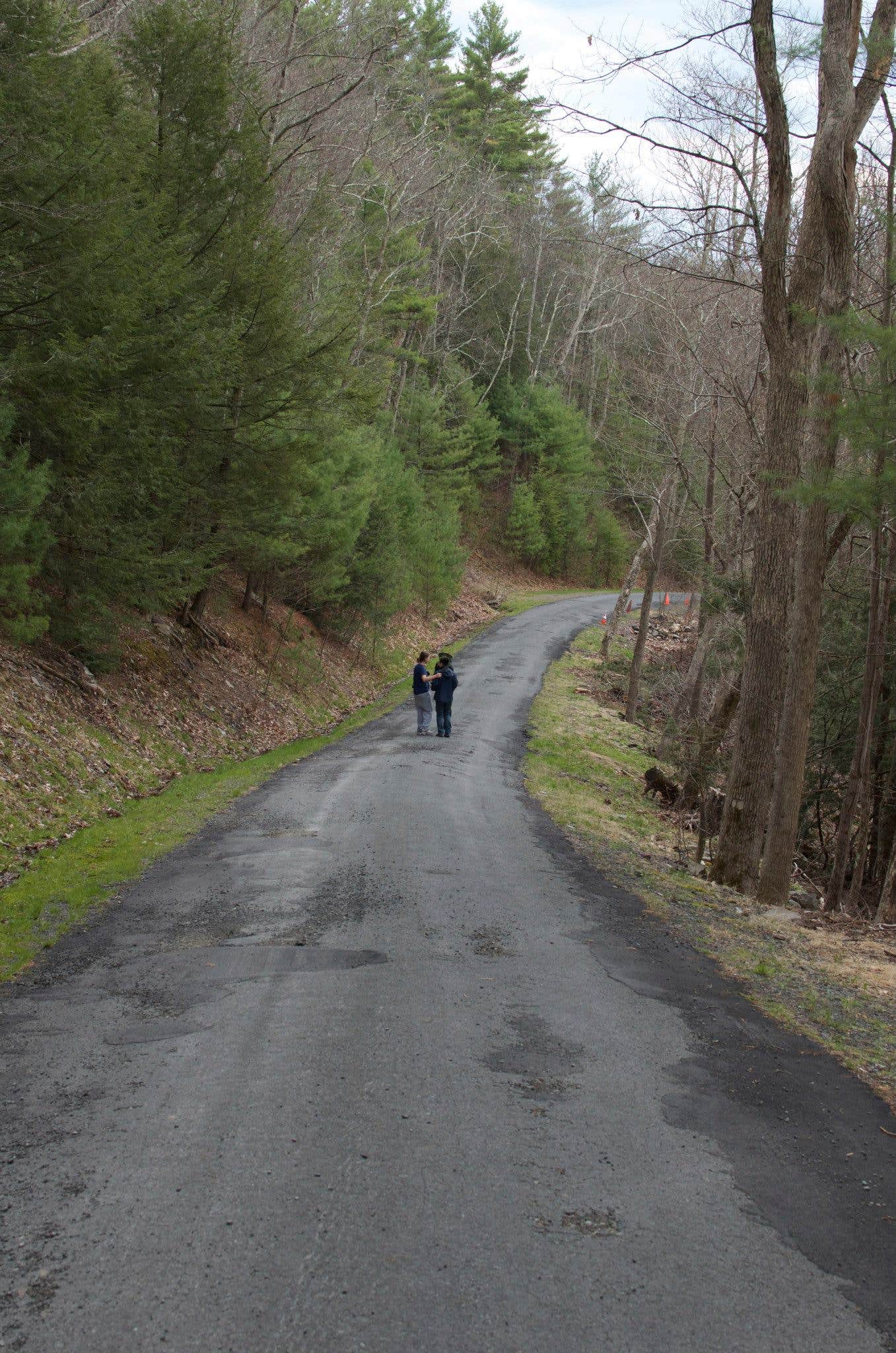 Camper submitted image from Kittatinny Campground - 3