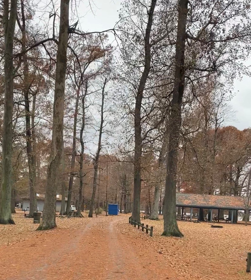 Camper submitted image from Airpark North Campground — Reelfoot Lake State Park - 5