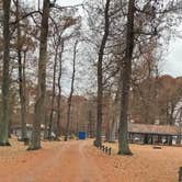 Review photo of Airpark North Campground — Reelfoot Lake State Park by Shana D., November 25, 2019