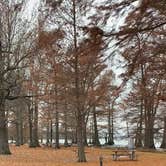 Review photo of Airpark North Campground — Reelfoot Lake State Park by Shana D., November 25, 2019