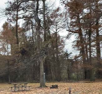 Camper-submitted photo from Airpark North Campground — Reelfoot Lake State Park