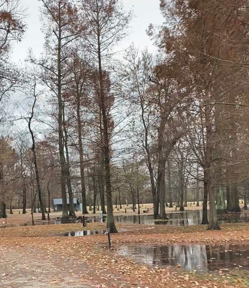 Camper submitted image from Airpark North Campground — Reelfoot Lake State Park - 4
