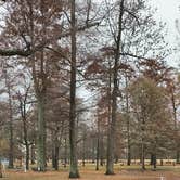 Review photo of Airpark North Campground — Reelfoot Lake State Park by Shana D., November 25, 2019