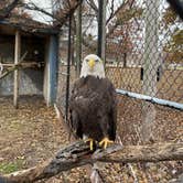 Review photo of Airpark North Campground — Reelfoot Lake State Park by Shana D., November 25, 2019