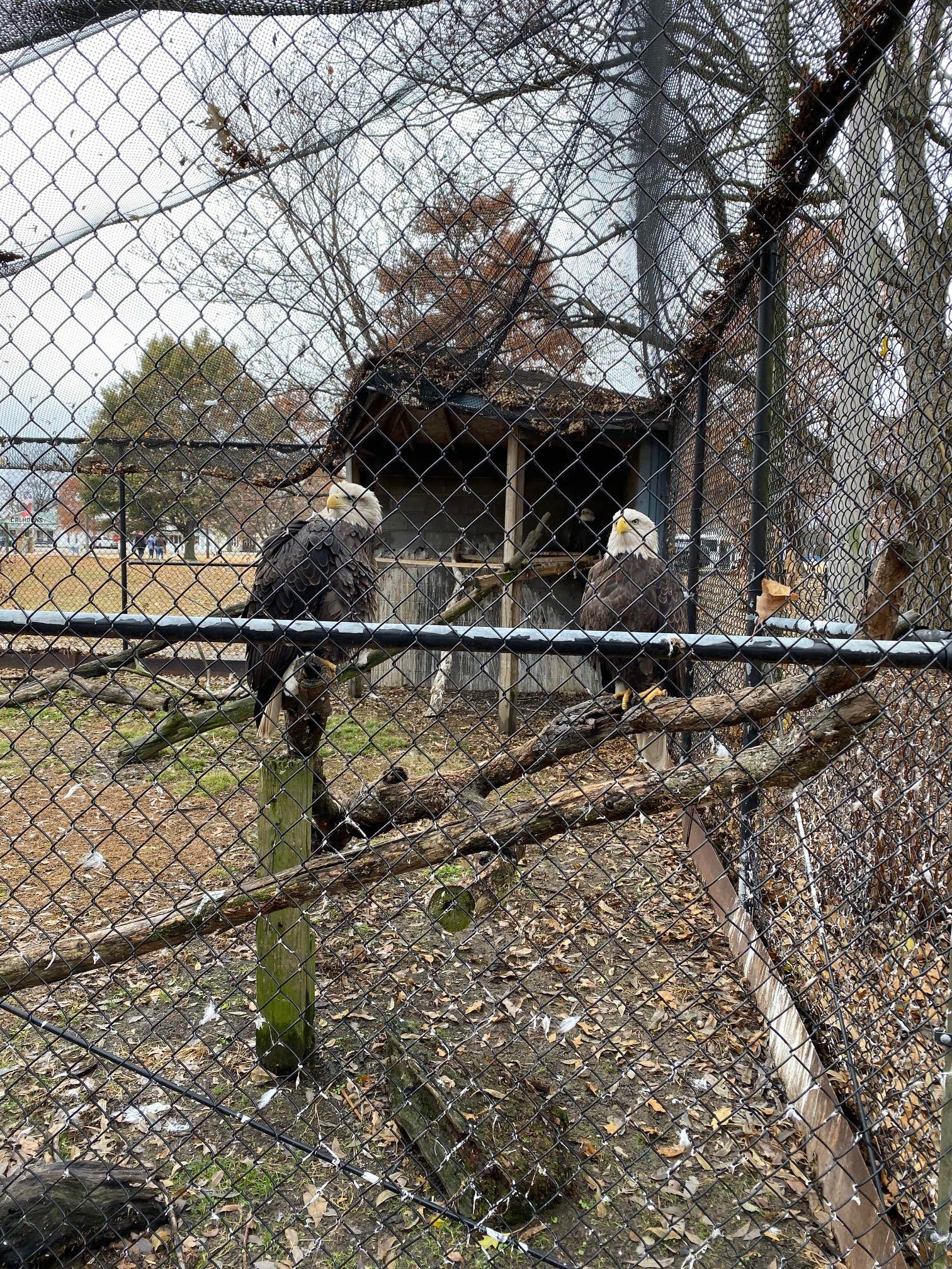 Camper-submitted photo at Airpark North Campground — Reelfoot Lake State Park near Troy, TN