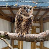 Review photo of Airpark North Campground — Reelfoot Lake State Park by Shana D., November 25, 2019