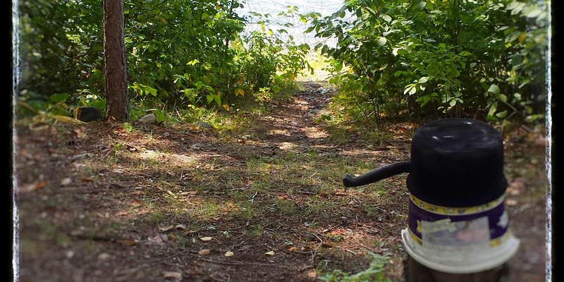 Camper submitted image from Waboose Lake - Paul Bunyan SF