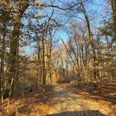 Review photo of Fort Pillow State Historic Park by Shana D., November 25, 2019