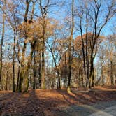 Review photo of Fort Pillow Historic State Park Campground by Shana D., November 25, 2019