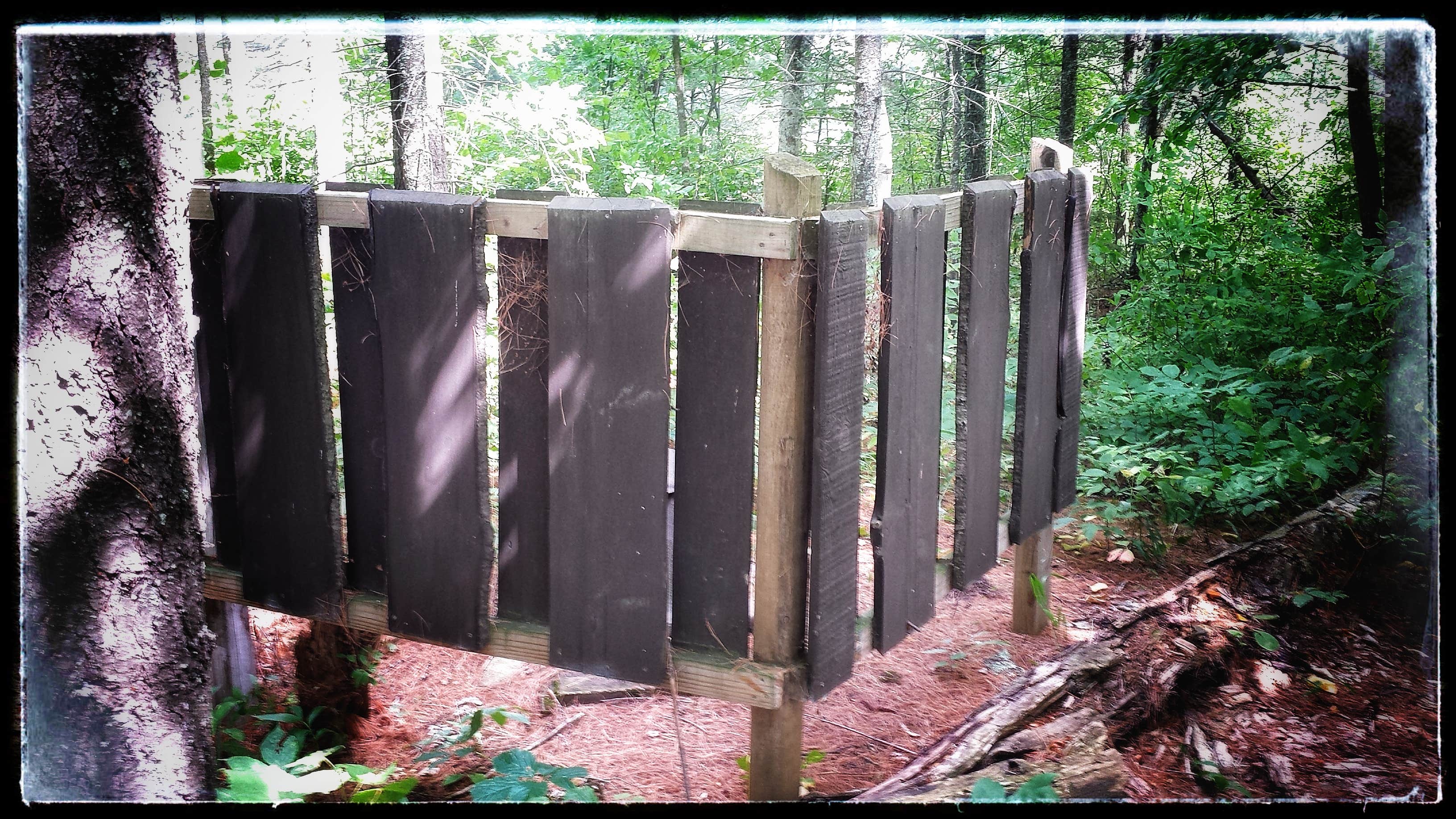 Camper-submitted photo at Waboose Lake - Paul Bunyan SF near Blackduck, MN