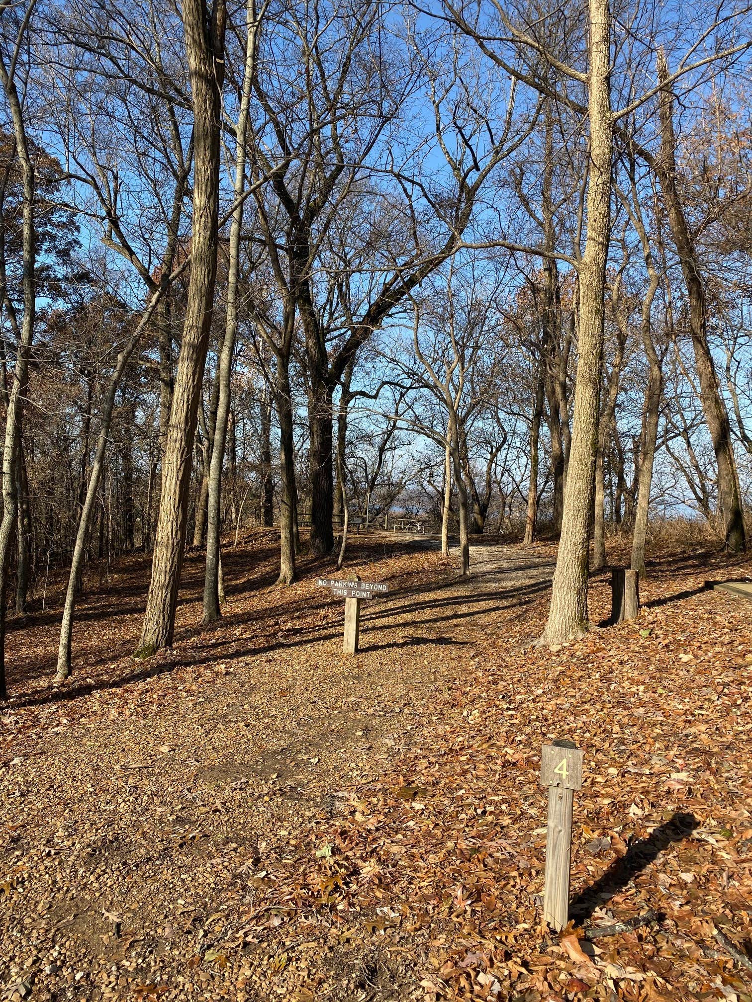 Walk in site 4. River in the background.