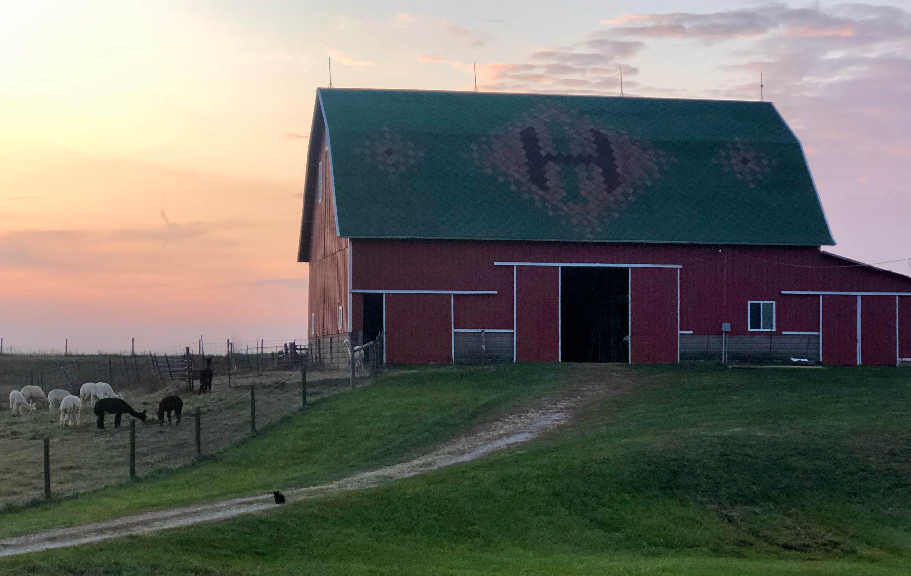 Heritage Farm Alpaca Experience | The Dyrt