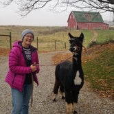 Review photo of Heritage Farm Alpaca Experience by Lee D., November 25, 2019