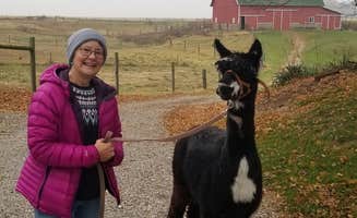 Lee D.'s photo of camping with pets at Heritage Farm Alpaca Experience in Indiana