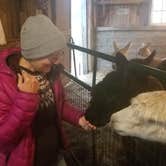 Review photo of Heritage Farm Alpaca Experience by Lee D., November 25, 2019