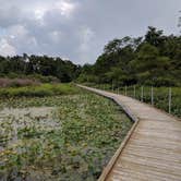 Review photo of Punderson State Park Campground by Daniel & Heather U., November 26, 2019