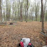 Review photo of South Bass Island State Park Campground by Daniel & Heather U., November 26, 2019