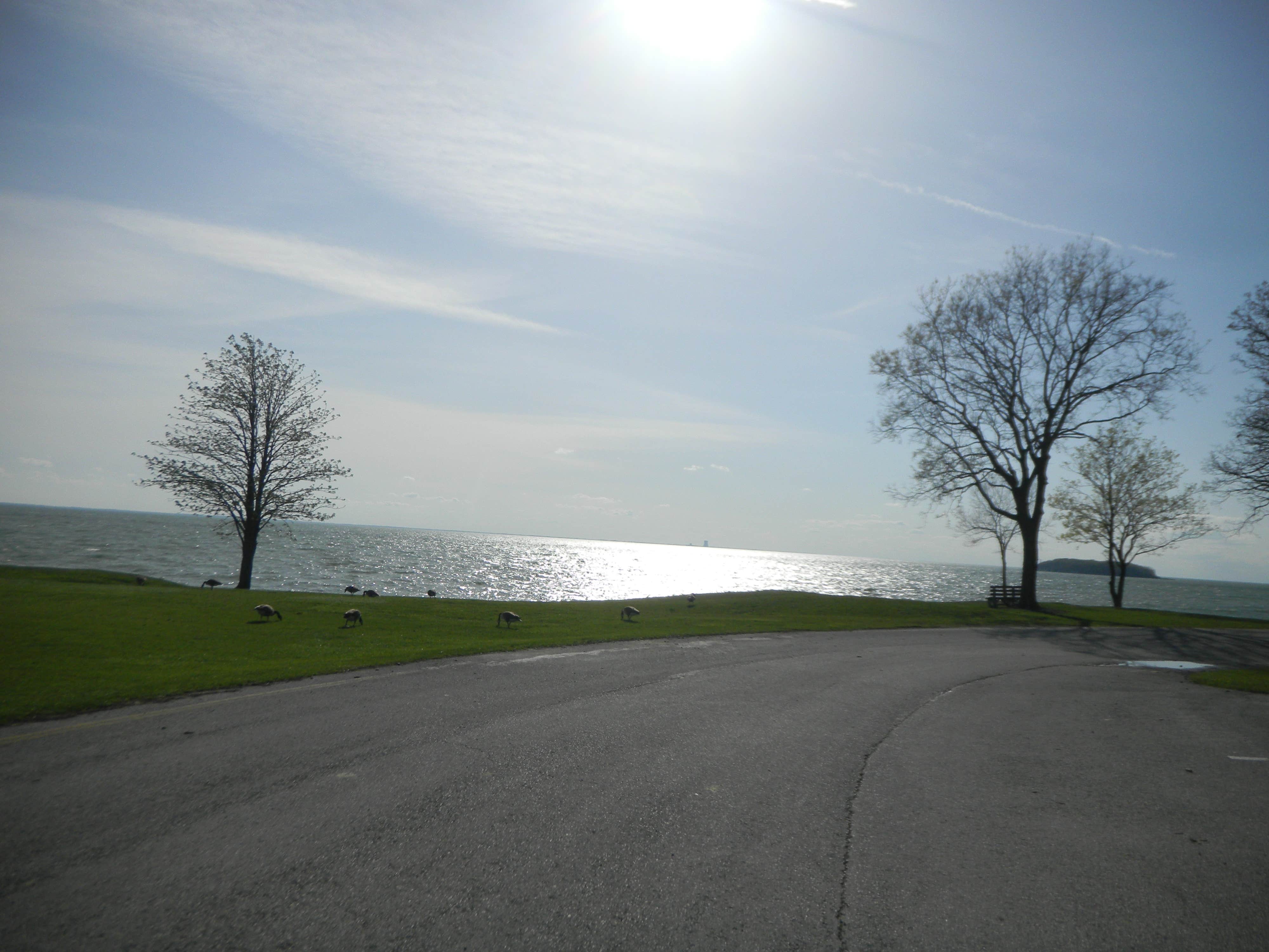 Camper submitted image from South Bass Island State Park Campground - 3