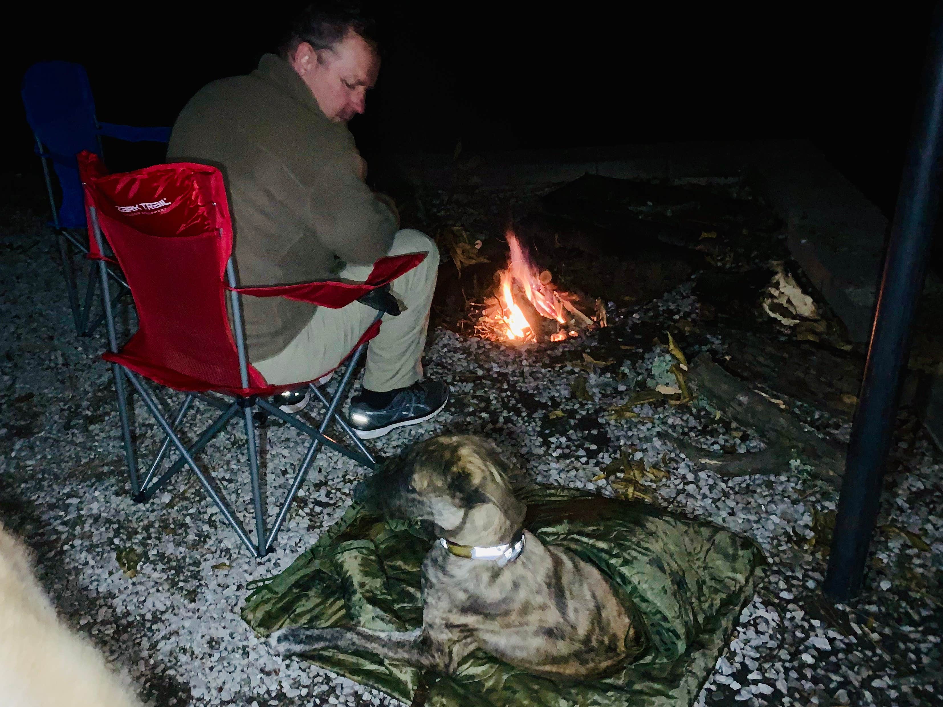Steven W.'s photo of camping with pets at Davis Lake Campground near Oxford, MS