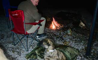 Steven W.'s photo of camping with pets at Davis Lake Campground near Potts Camp, MS