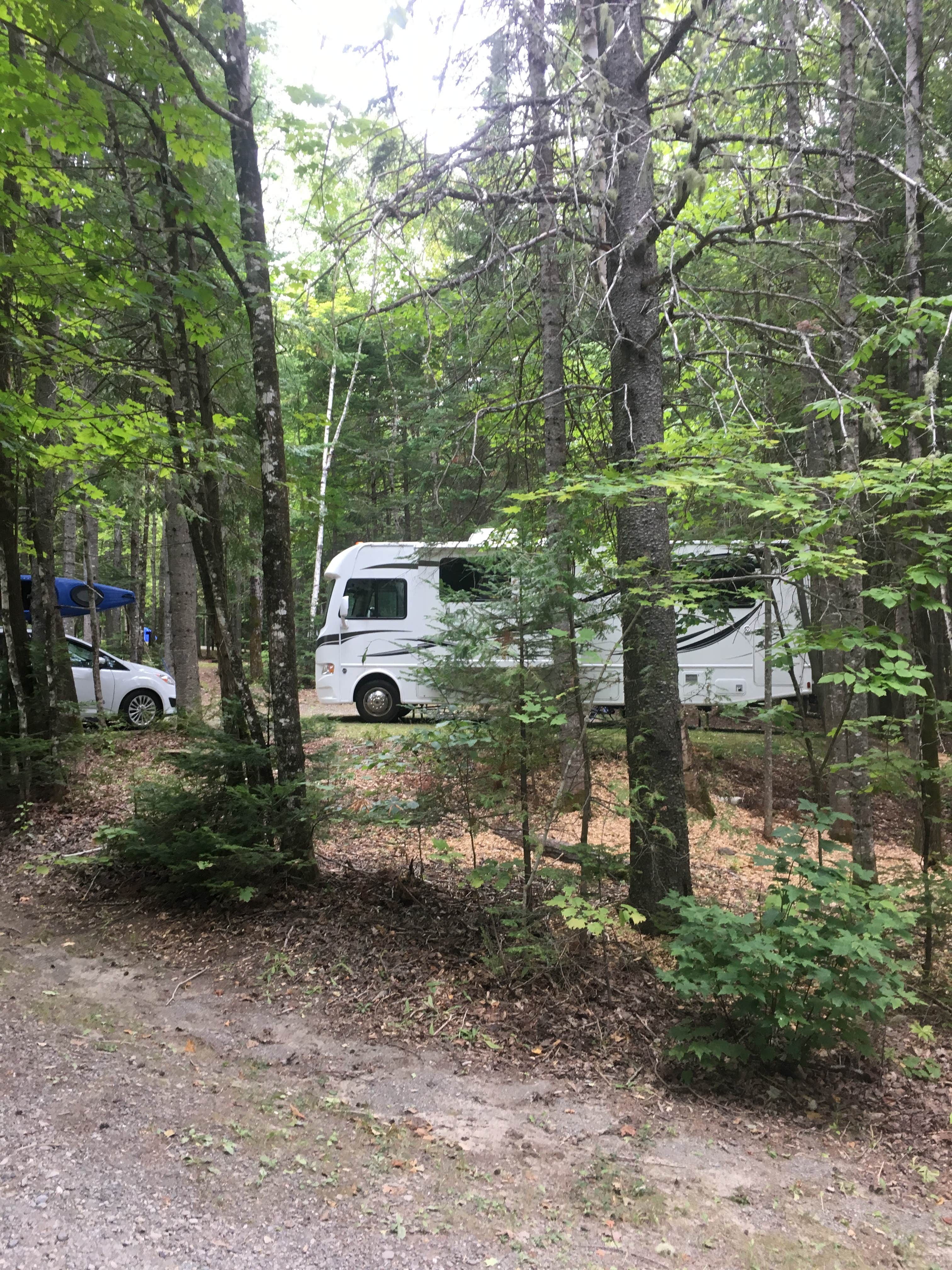 Camper submitted image from Aroostook State Park Campground - 4