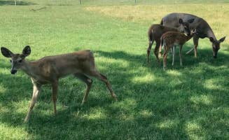 Eric R.'s photo of camping with a horse at Arcadia Lake near Oklahoma City, OK