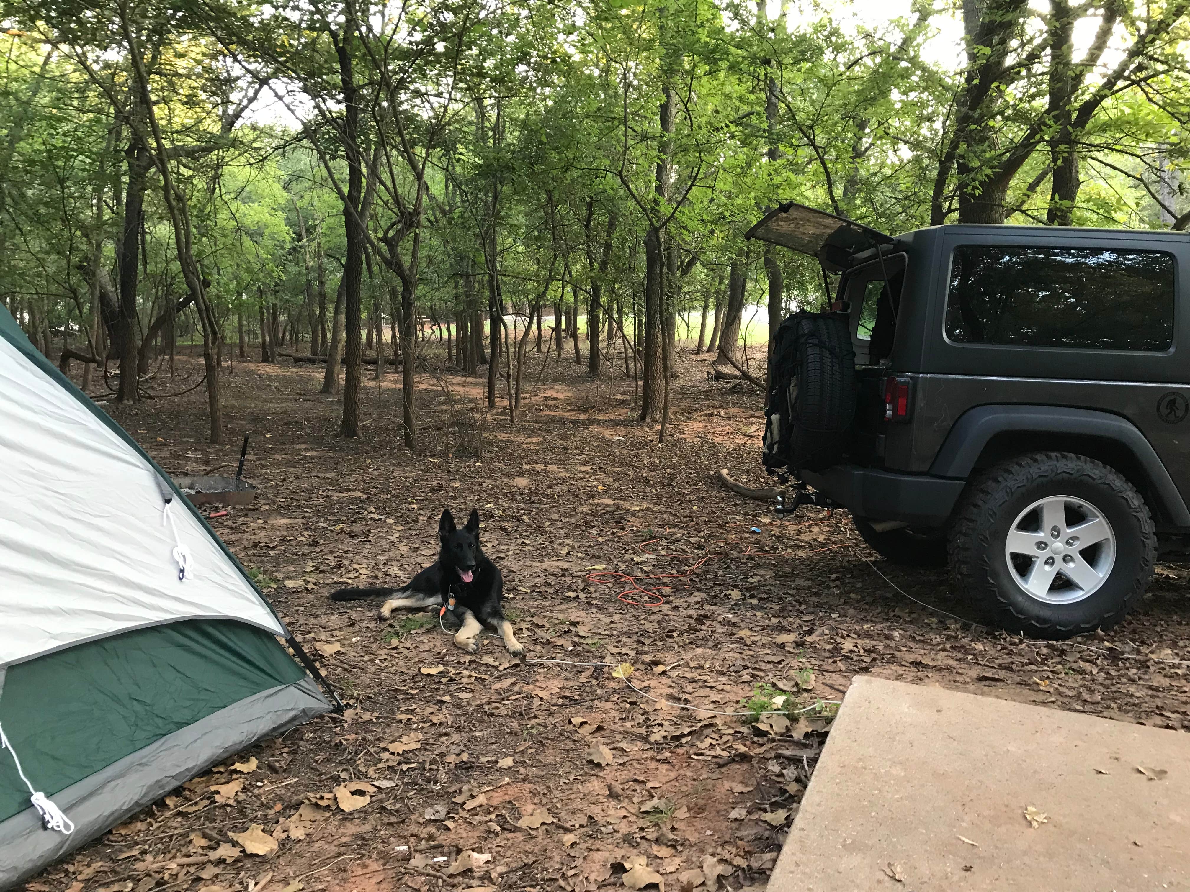 Eric R.'s photo of camping with pets at Arcadia Lake near Choctaw, OK