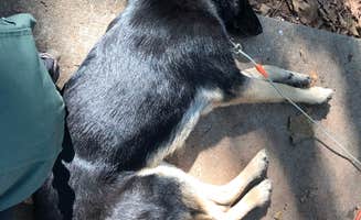 Eric R.'s photo of camping with pets at Arcadia Lake near Oklahoma City, OK