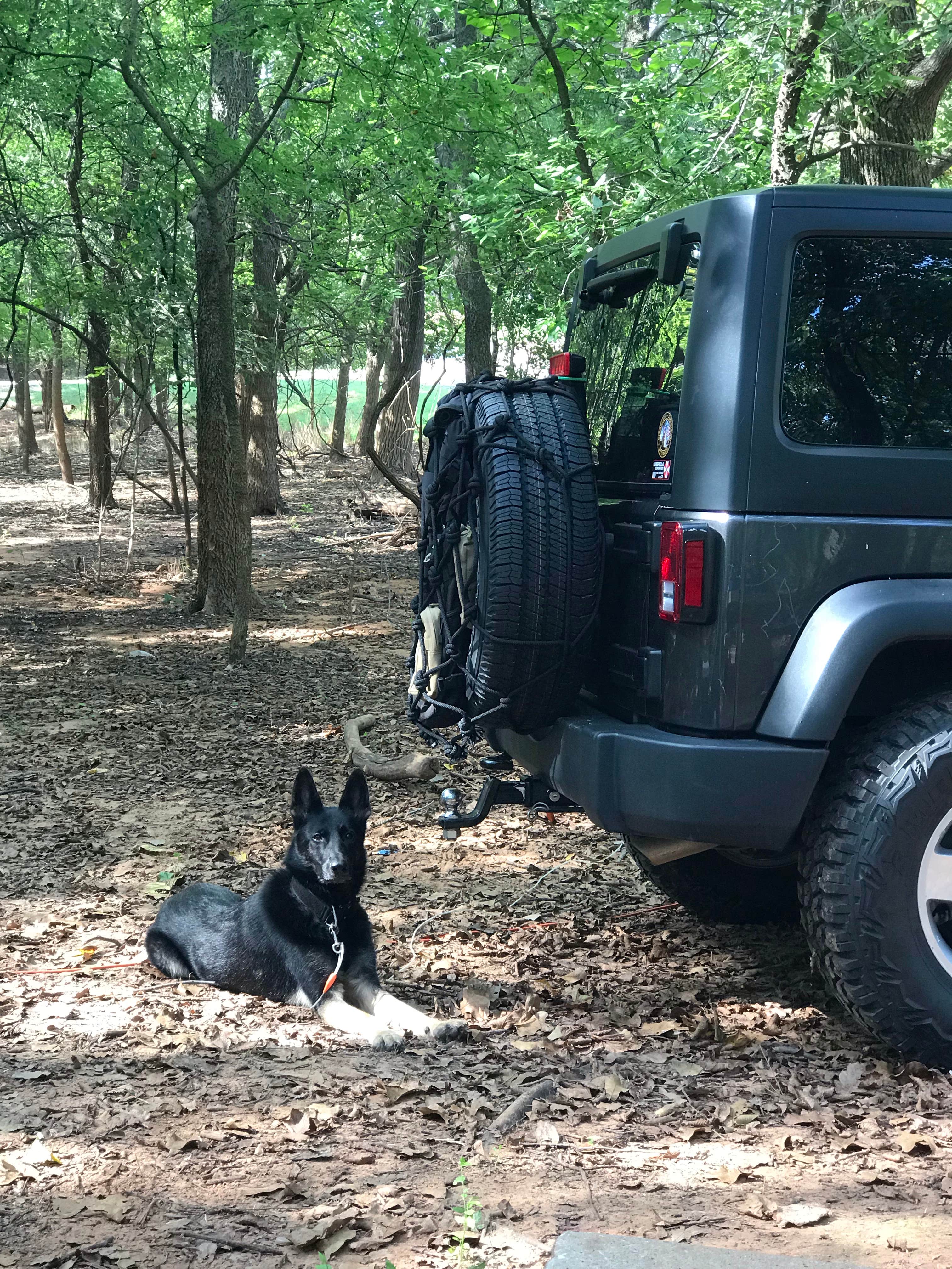 Eric R.'s photo of camping with pets at Arcadia Lake in Oklahoma