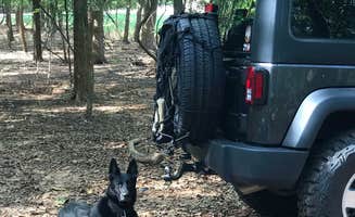 Eric R.'s photo of camping with pets at Arcadia Lake near Oklahoma City, OK