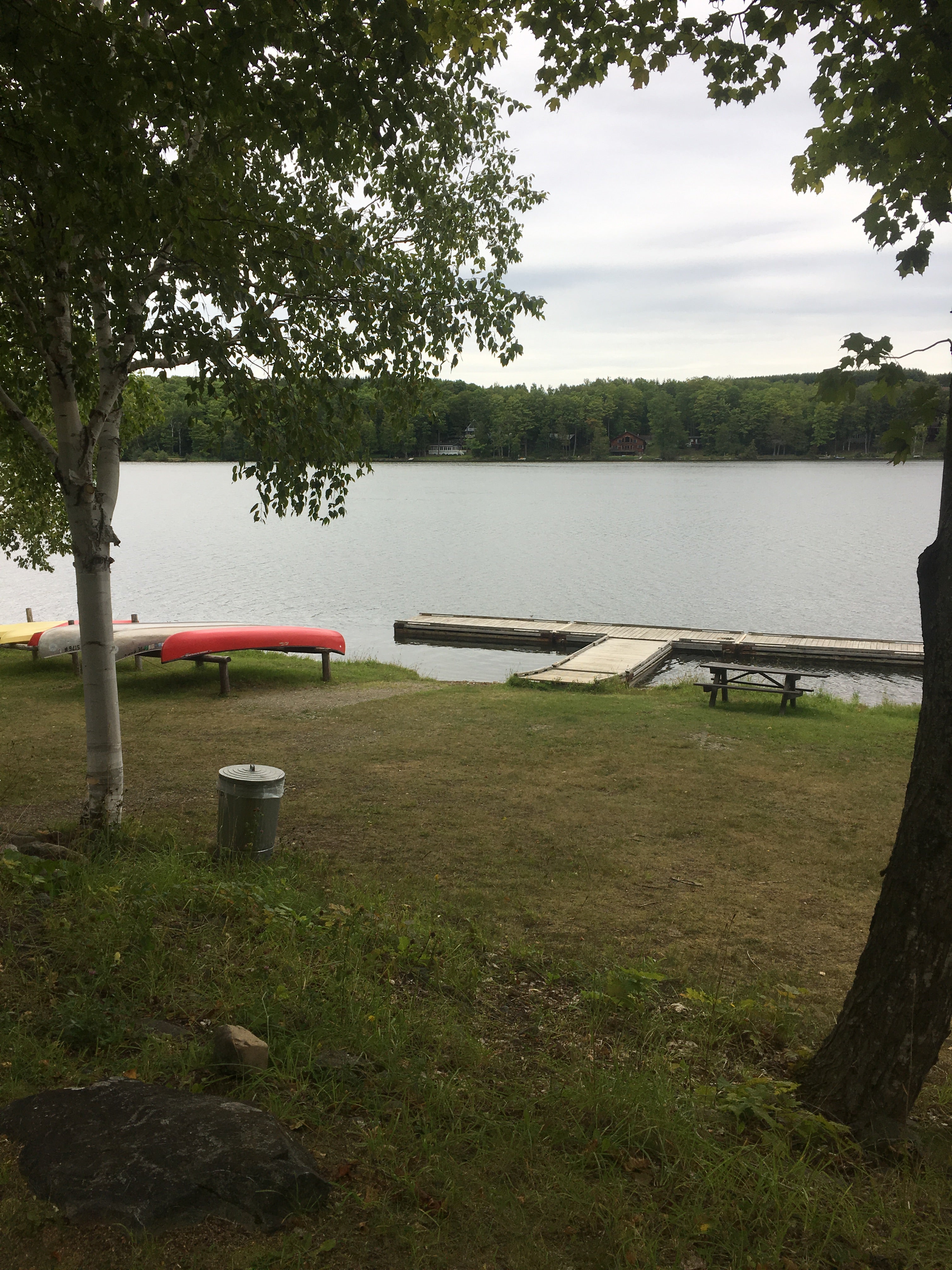 Camper submitted image from Aroostook State Park Campground - 3