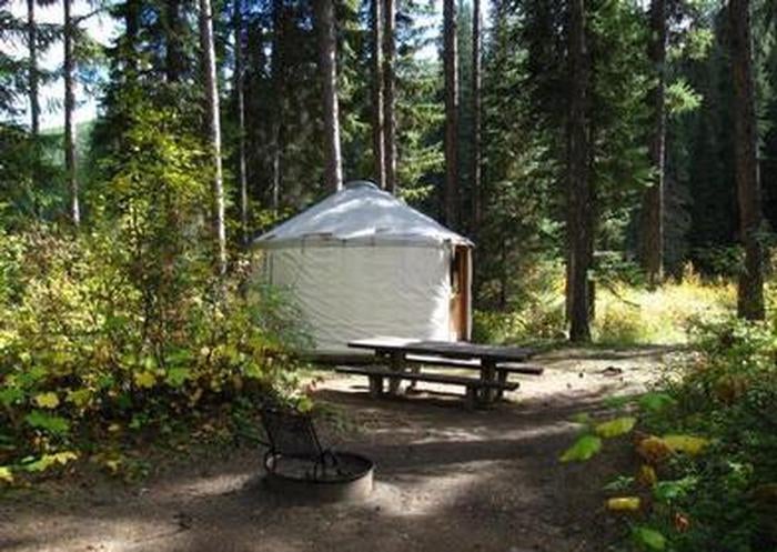 Camper submitted image from Whitetail Yurt - 4