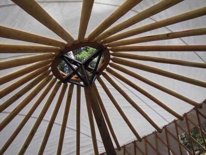Camper submitted image from Whitetail Yurt - 1