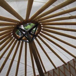 Public Campgrounds: Whitetail Yurt