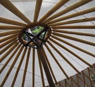 Camper-submitted photo from Whitetail Yurt