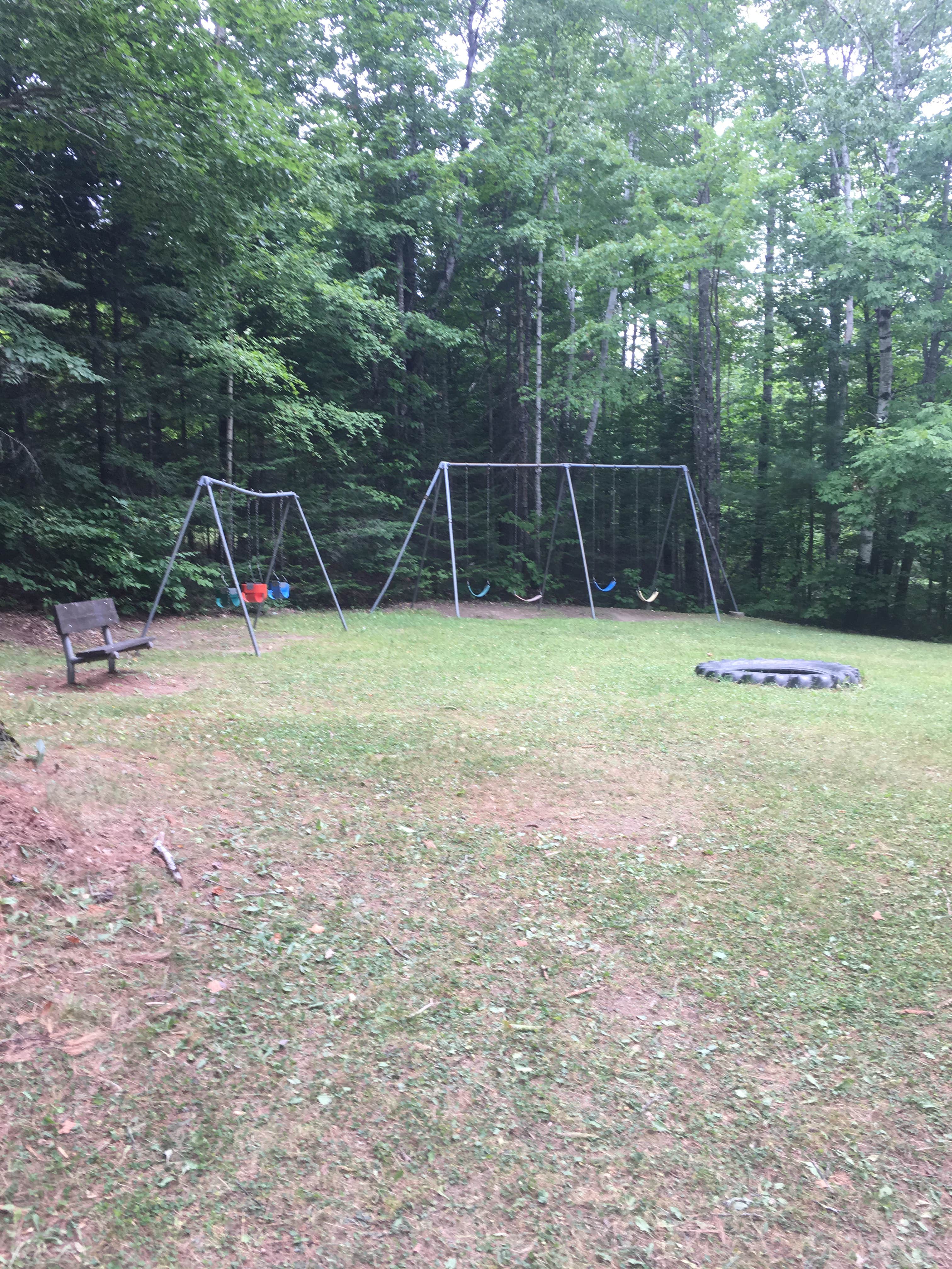 Camper submitted image from Aroostook State Park Campground - 5
