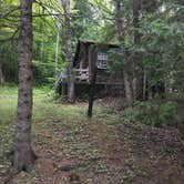 Review photo of Aroostook State Park Campground by Gary G., August 22, 2017