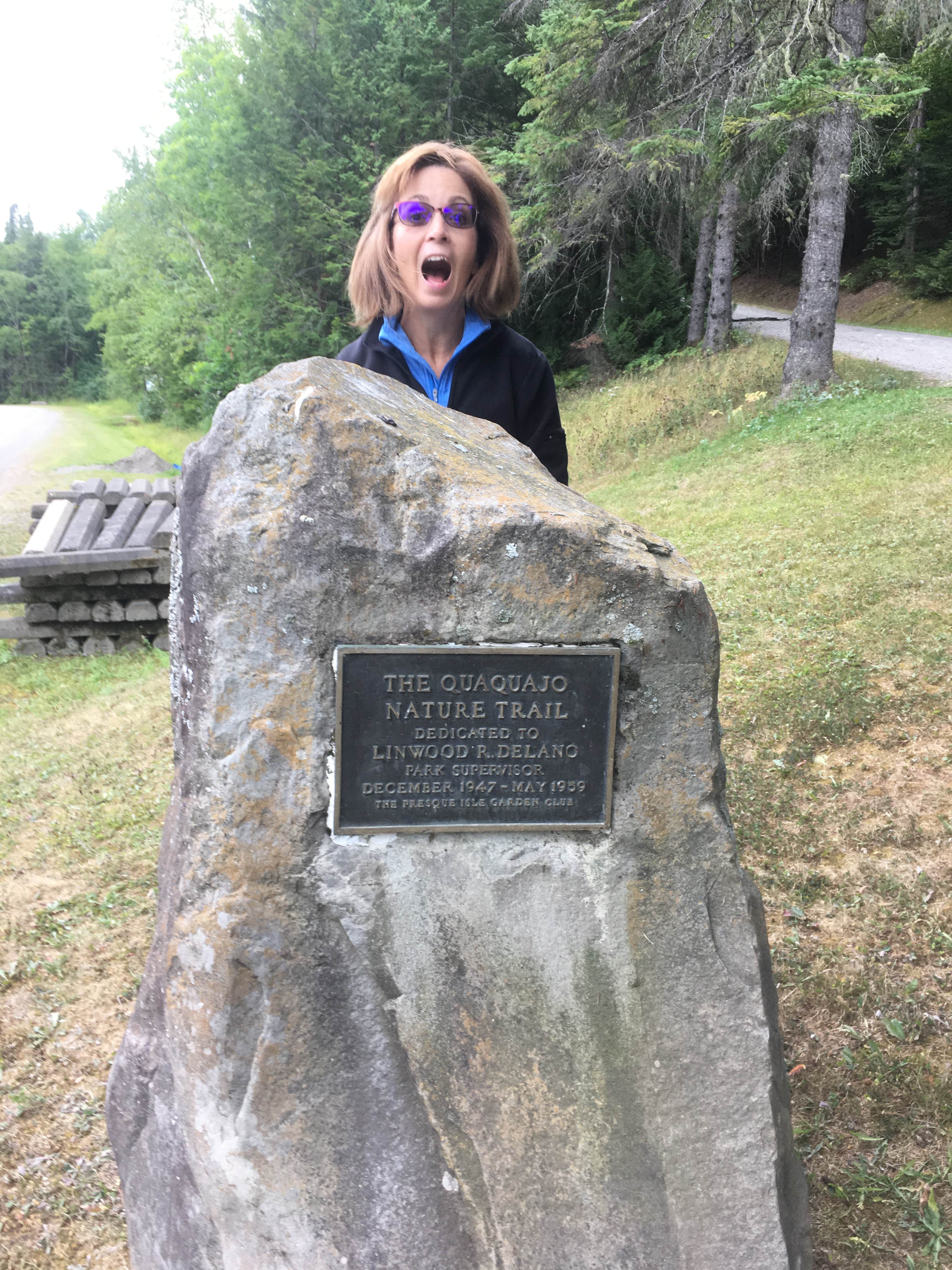 Camper submitted image from Aroostook State Park Campground - 5
