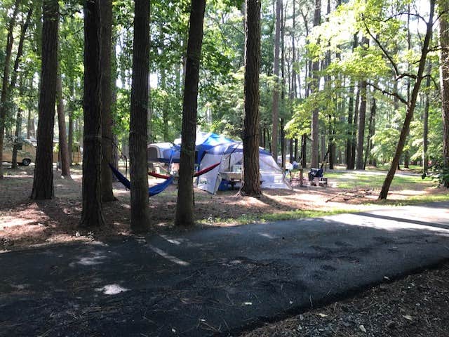Camper submitted image from Milburn Landing Campground - 2