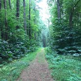 Review photo of Milburn Landing Campground by Jen V., August 23, 2017