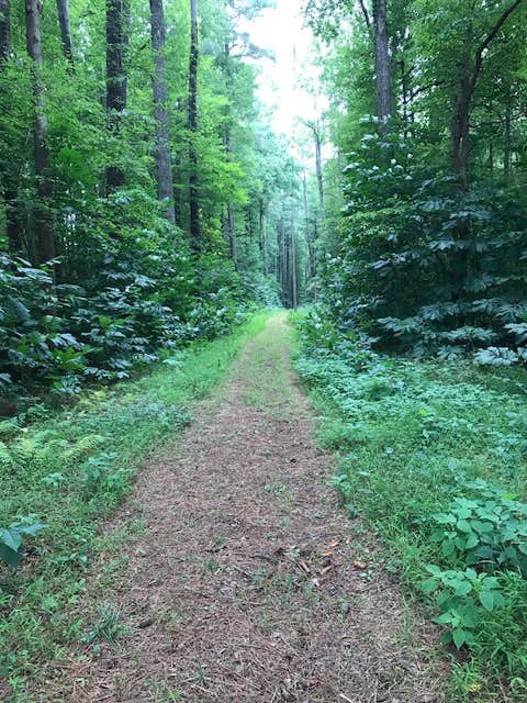 Camper submitted image from Milburn Landing Campground - 5