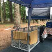 Review photo of Milburn Landing Campground by Jen V., August 23, 2017