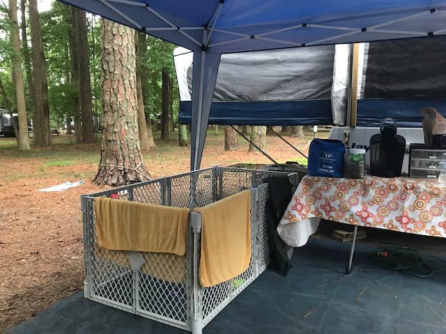 Camper submitted image from Milburn Landing Campground - 3