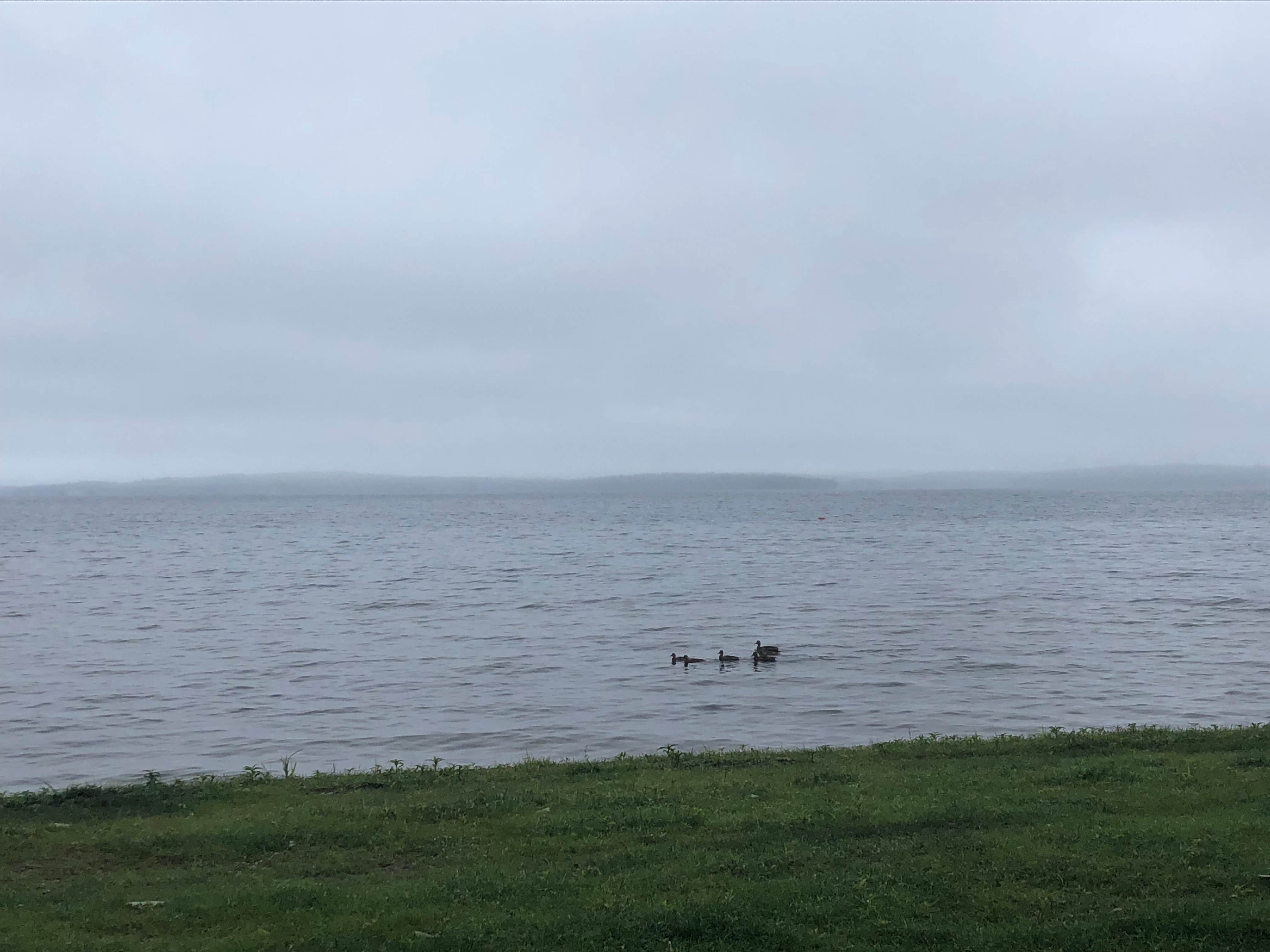 Camper-submitted photo at Ellacoya State Park Campground near Melvin Village, NH